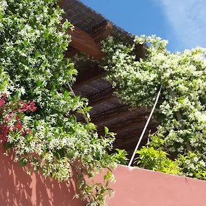 Gato Preto De - Adults Only Bed & Breakfast Silves